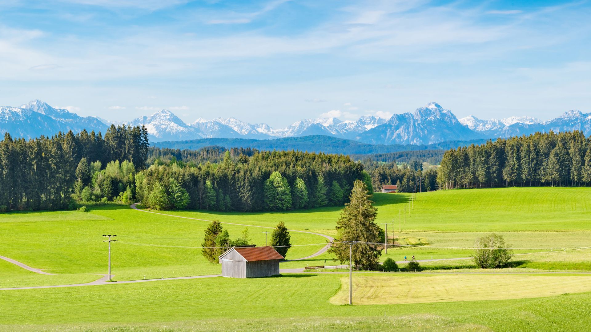 Allgäu, sarkanas jumta saimniecības ēkas plašā zaļā lauku un meža ainavā ar dramatisku fonu ar sniegotiem kalniem pie apvāršņa