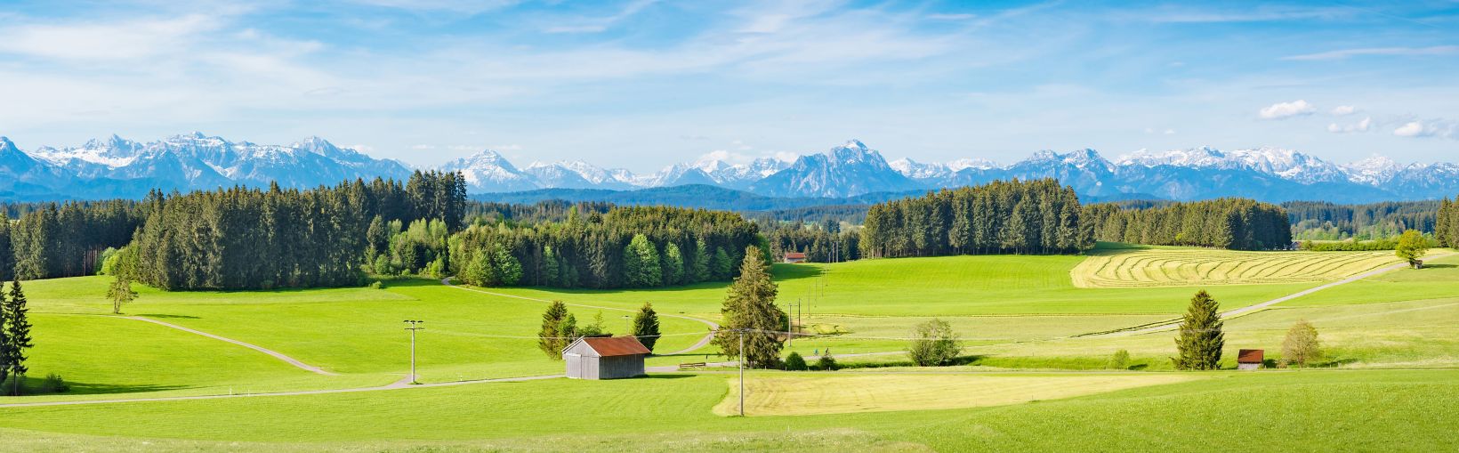 Allgäu, sarkanas jumta saimniecības ēkas plašā zaļā lauku un meža ainavā ar dramatisku fonu ar sniegotiem kalniem pie apvāršņa