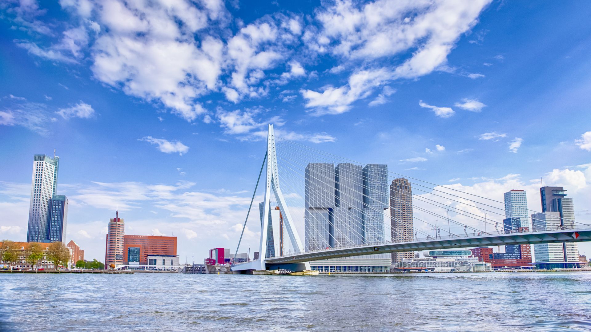 Attractive View of Renowned Erasmusbrug (Swan Bridge) in  Rotterdam in front of Port and Harbour. Picture Made At Day. Horizontal Image