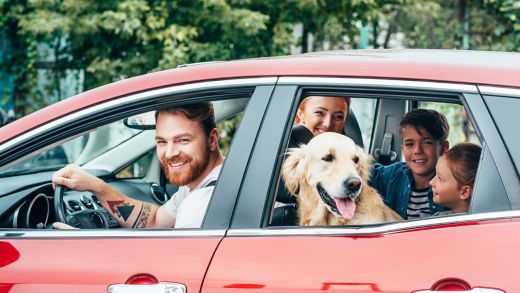 A car filled with a family and a dog