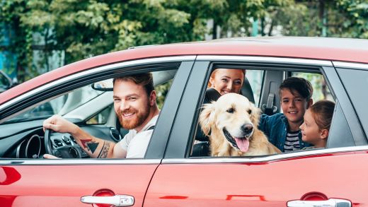 A car filled with a family and a dog