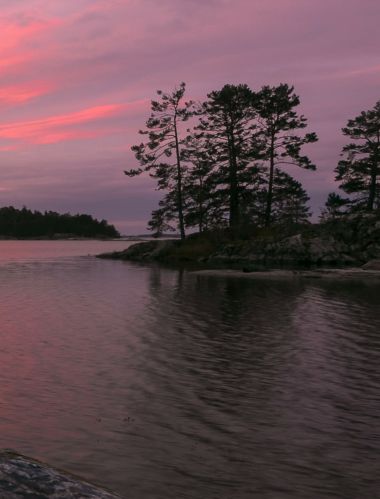 Vaizdas į uolų ežero krantą Vasterviko salyne su medžiais padengtomis salomis po rausvu saulėlydžiu