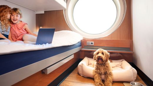 Pets cabin