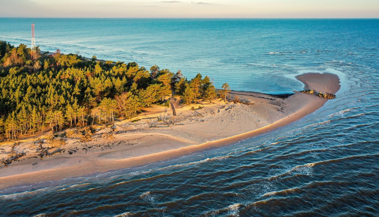 An aerial photograph captures a sandy peninsula extending into a calm blue sea, bordered by a dense forest. The shoreline curves gently, with sunlight casting warm tones on the sand and trees. The tranquil water and clear sky create a peaceful atmosphere, while a small structure and a tall tower are visible among the trees. No visible text or numbers are present in the image.