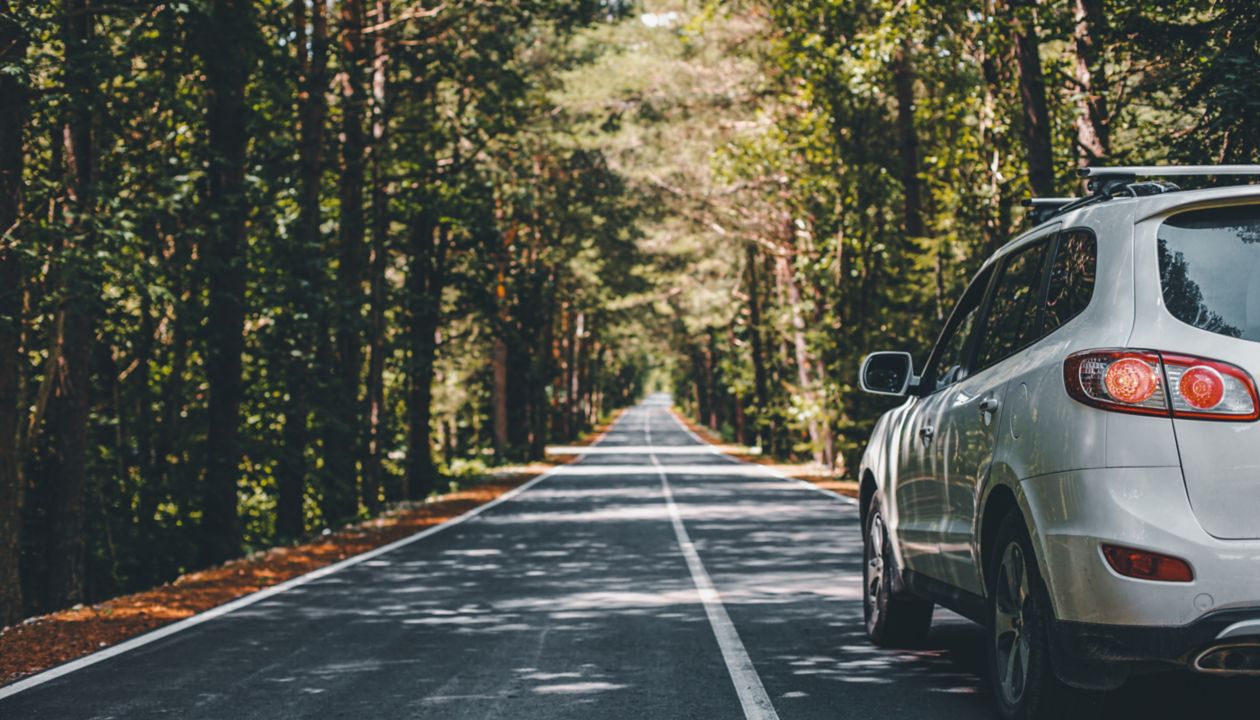 Driving car on a forest asphalt road among trees