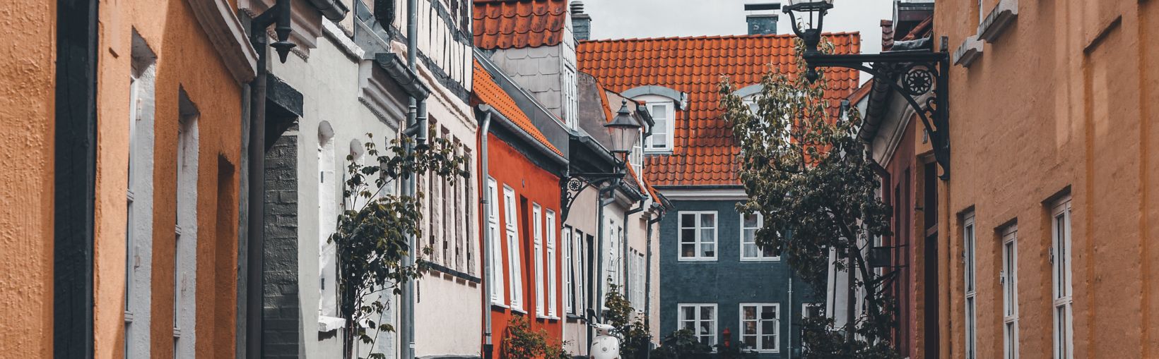 Aalborg houses