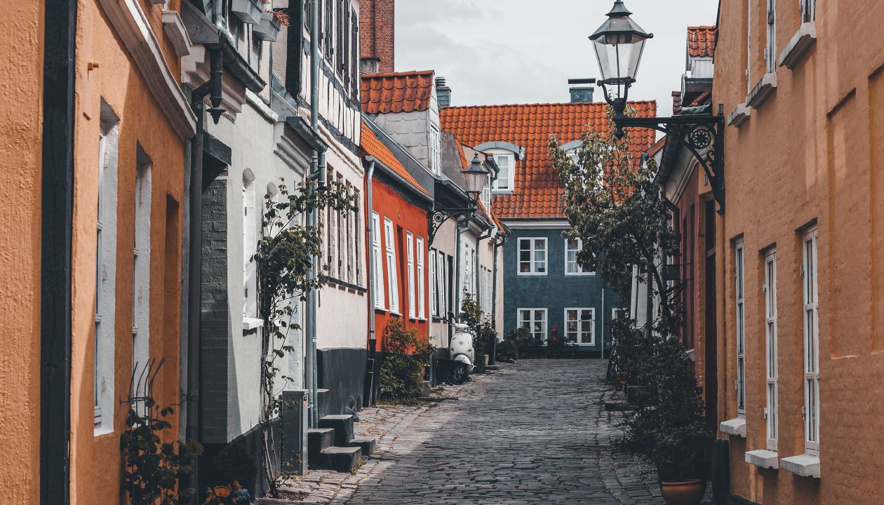 Aalborg houses