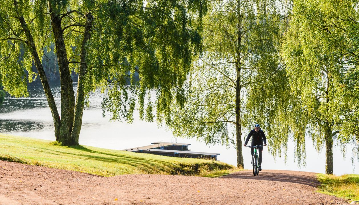 Man fietsend in een bos