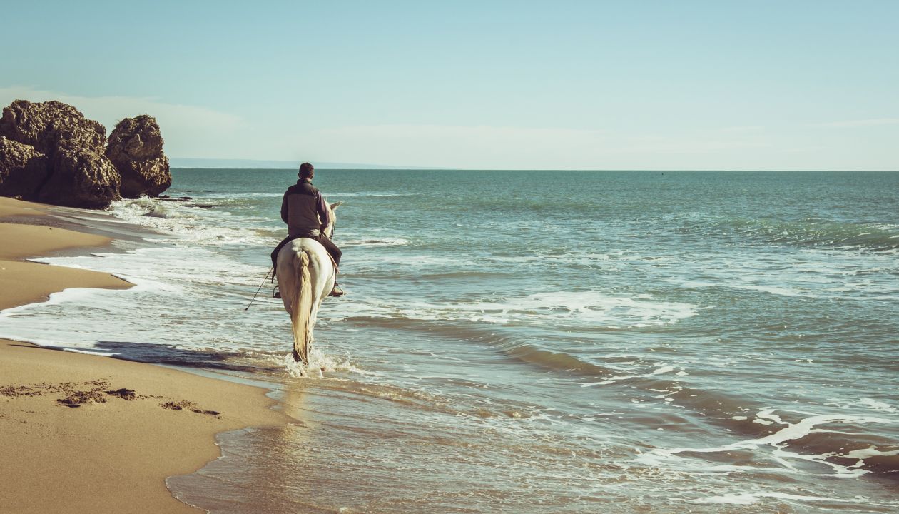 young man ride a white horse on the beach
