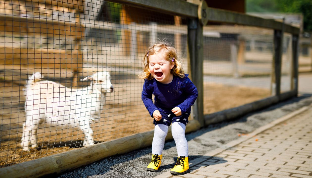 Adorable cute toddler girl feeding little goats and sheeps on a kids farm. Beautiful baby child petting animals in the zoo. Excited and happy girl on family weekend