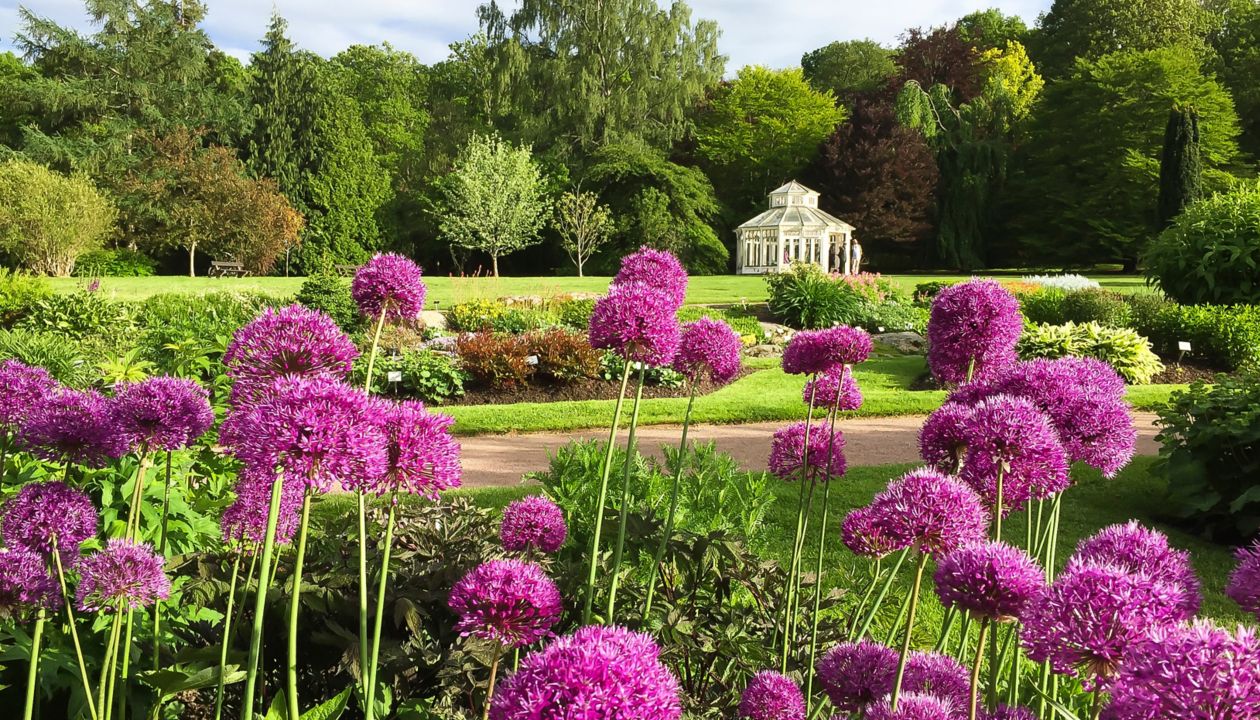 The Best Outdoor Experiences In Gothenburg