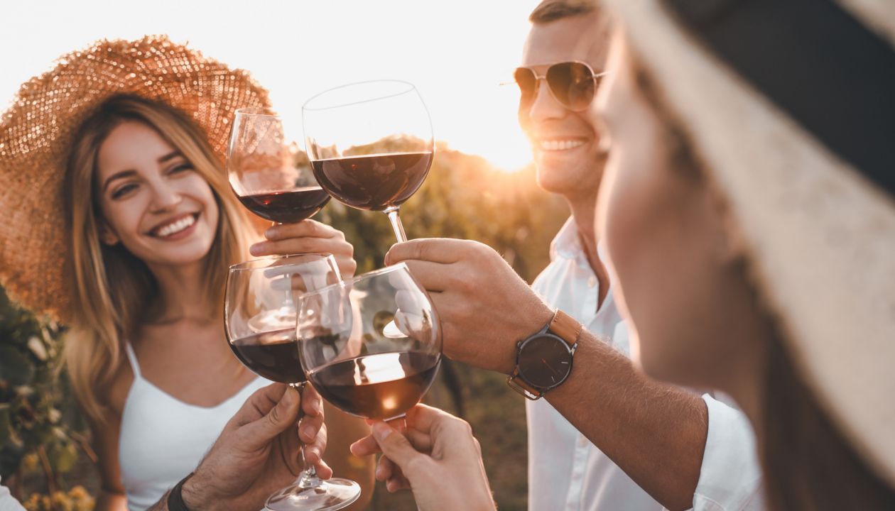 Friends clinking glasses of red wine at vineyard on sunny day, closeup