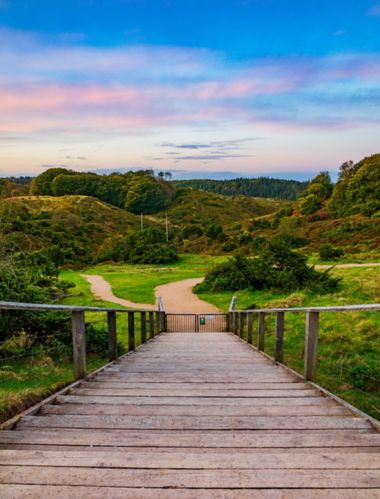 Piste de randonnée dans le parc national Rebild Bakker à travers un paysage varié de collines et de forêt