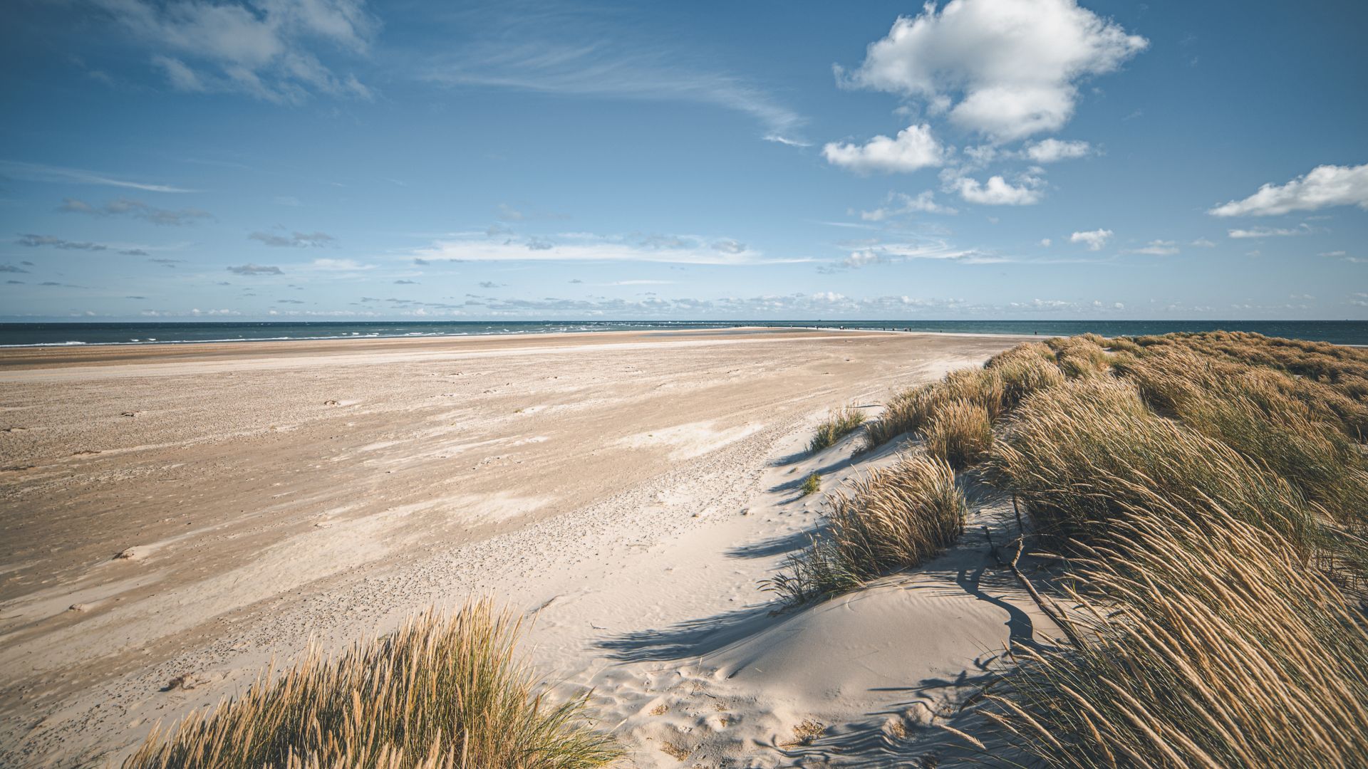 Beach at Skagen, the top of Denmark. High quality photo