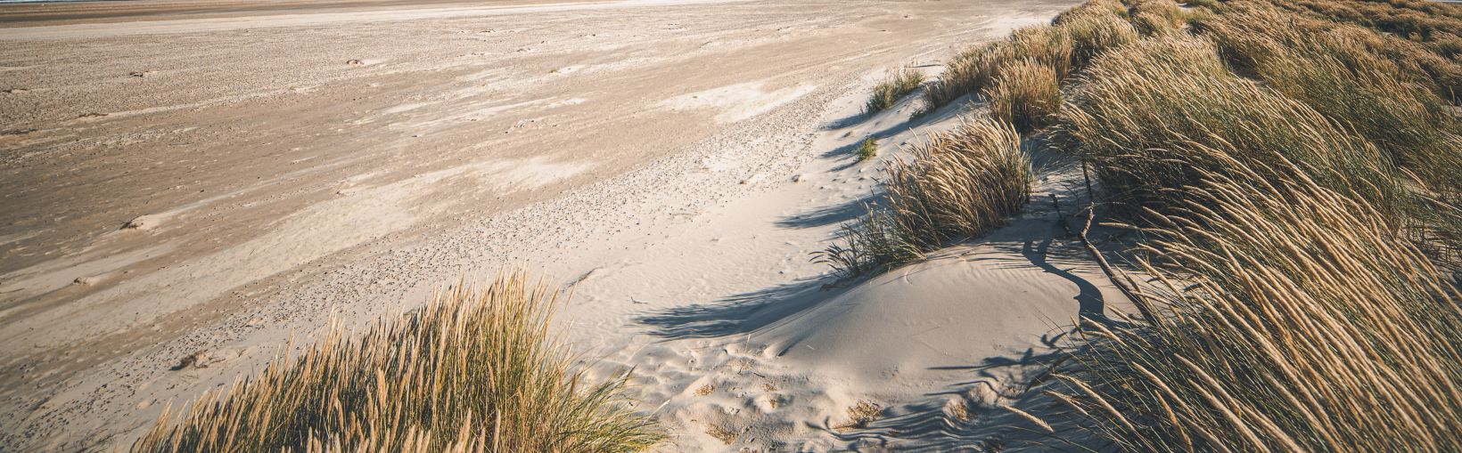 Beach at Skagen, the top of Denmark. High quality photo