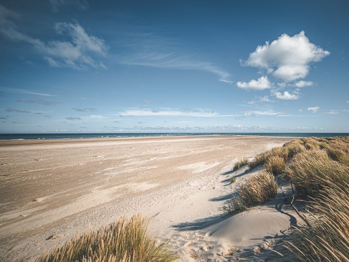 Beach at Skagen, the top of Denmark. High quality photo