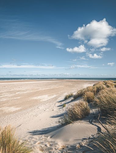 Beach at Skagen, the top of Denmark. High quality photo