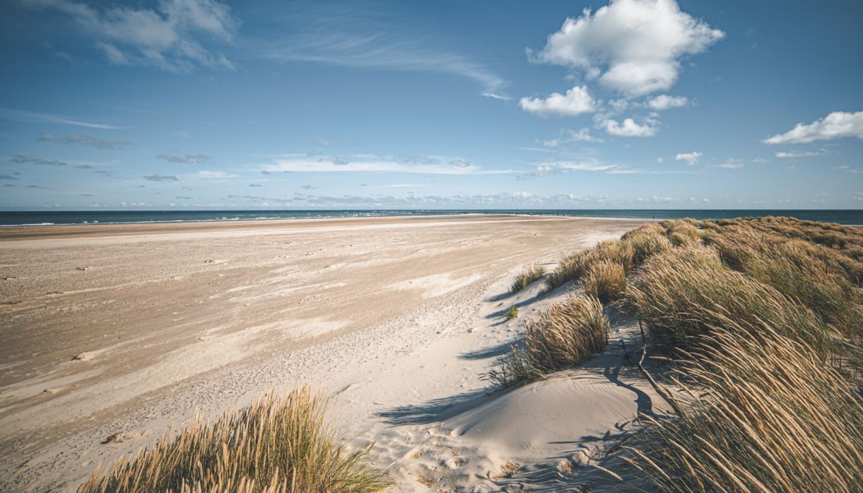 Beach at Skagen, the top of Denmark. High quality photo