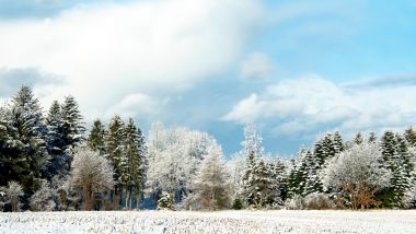 Beautiful trees with frost and snow on a sunny winter day in Scandinavia, North Jutland in Denmark