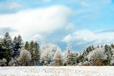 Upplev en magisk jul i norra Danmark!