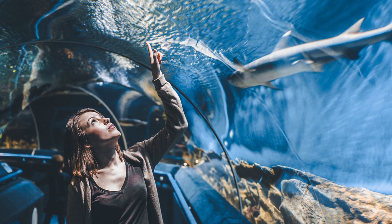 Young girl in aquarium tunnel with sharks