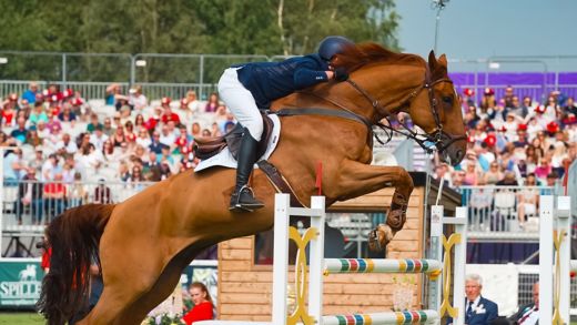 Balmoral Show