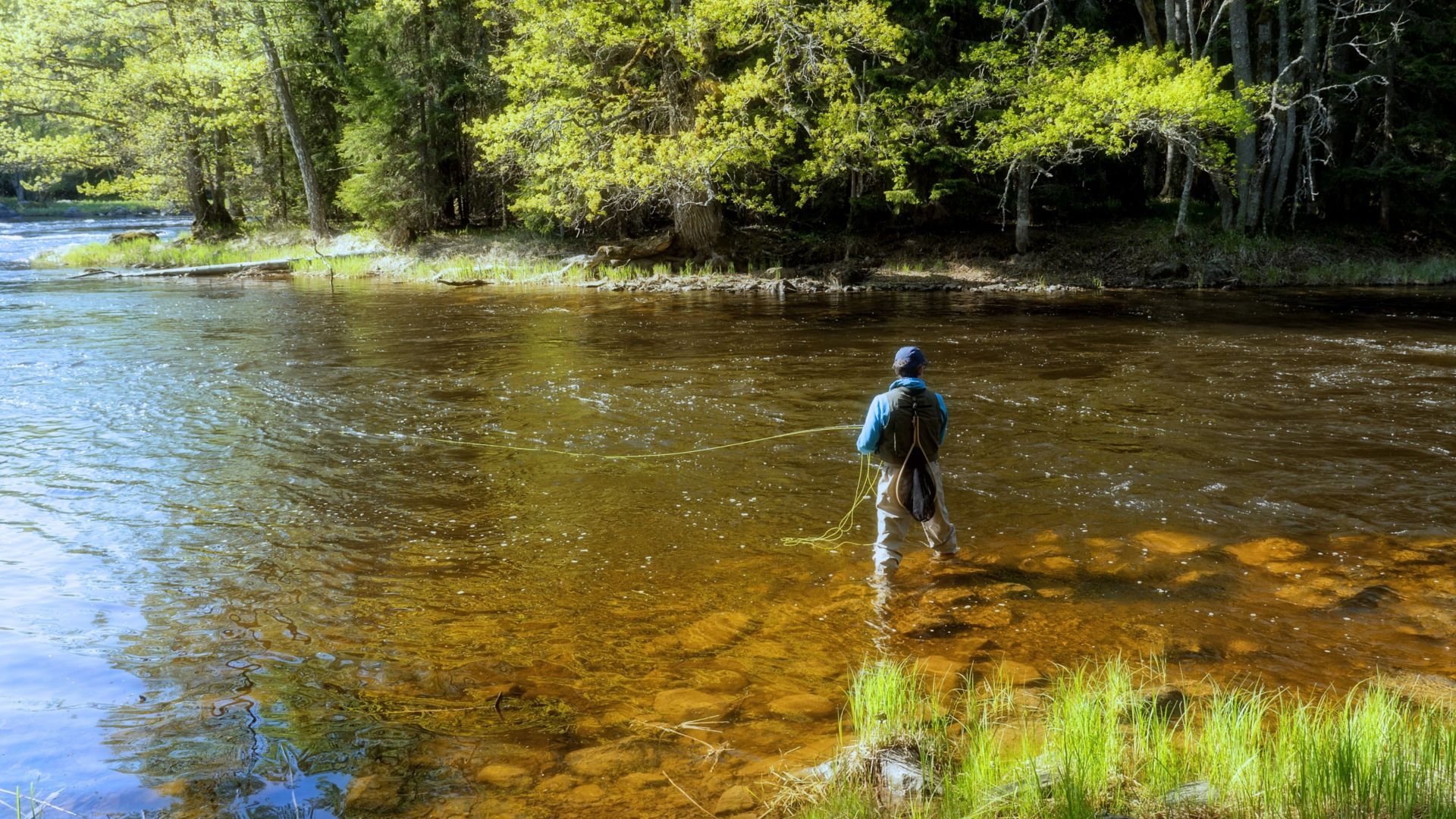 Wędkarz stojący po pas w rzece łąwiący ryby w Szwecji