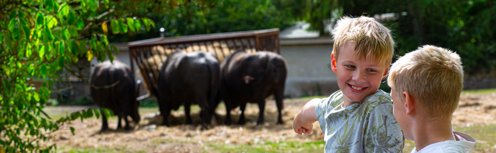 Zoo de Givskud