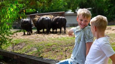 Zoo de Givskud