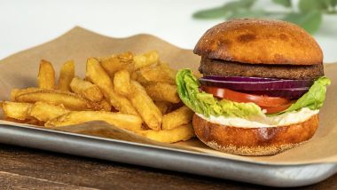 Vegan burger with lettuce, tomato and fries