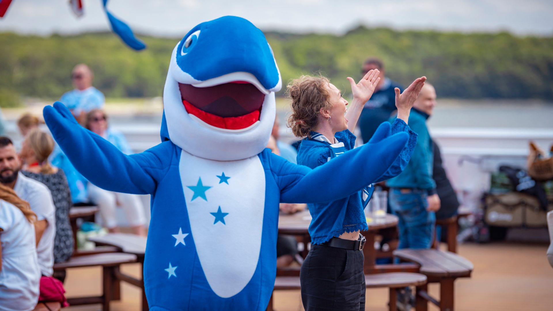 Happy der Schweinswal unterhält Passagiere an Bord der Stena Germanica während der Kieler Woche auf dem sonnigen Aussendeck