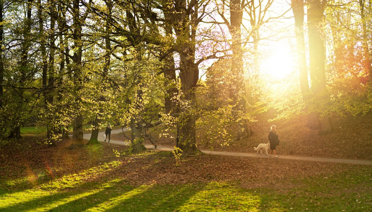 Walpurgis i byparken Slottsskogen