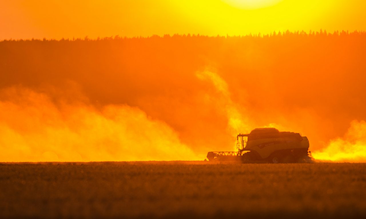 Skördetröska i solnedgång