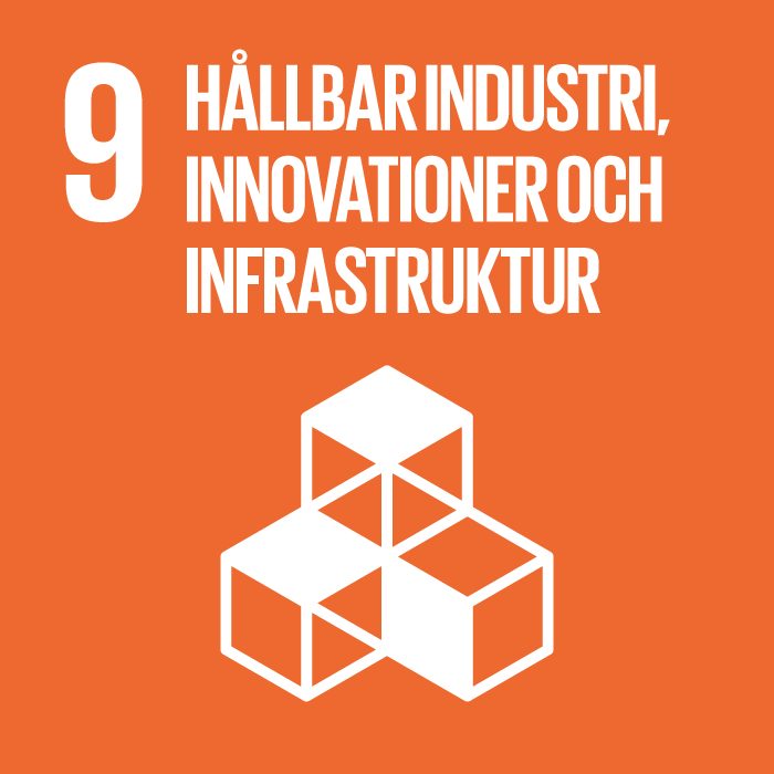 Global Goal number 9