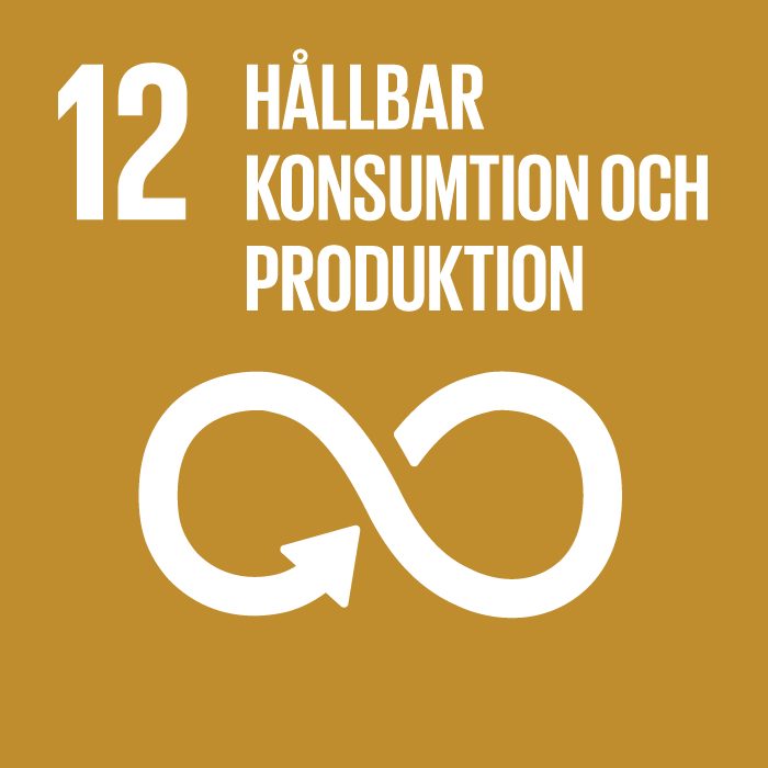 Global Goal number 12