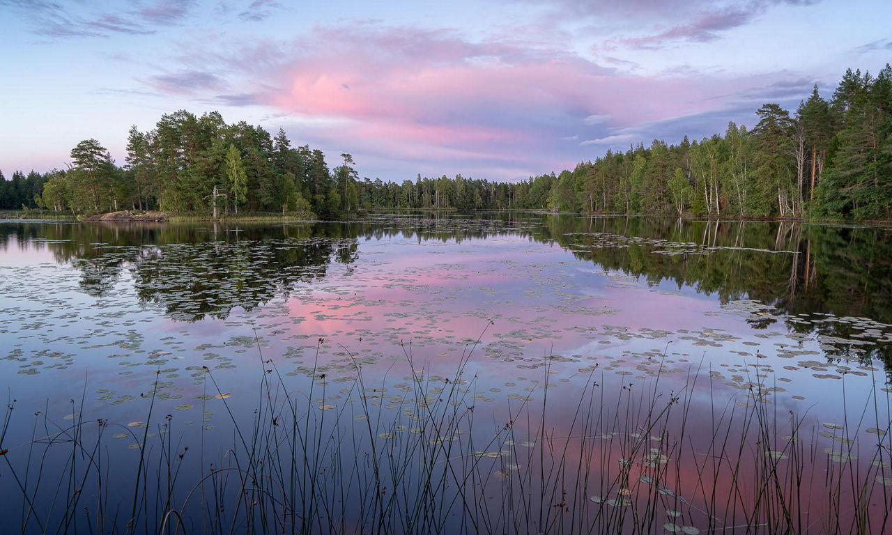 Helgonmossen