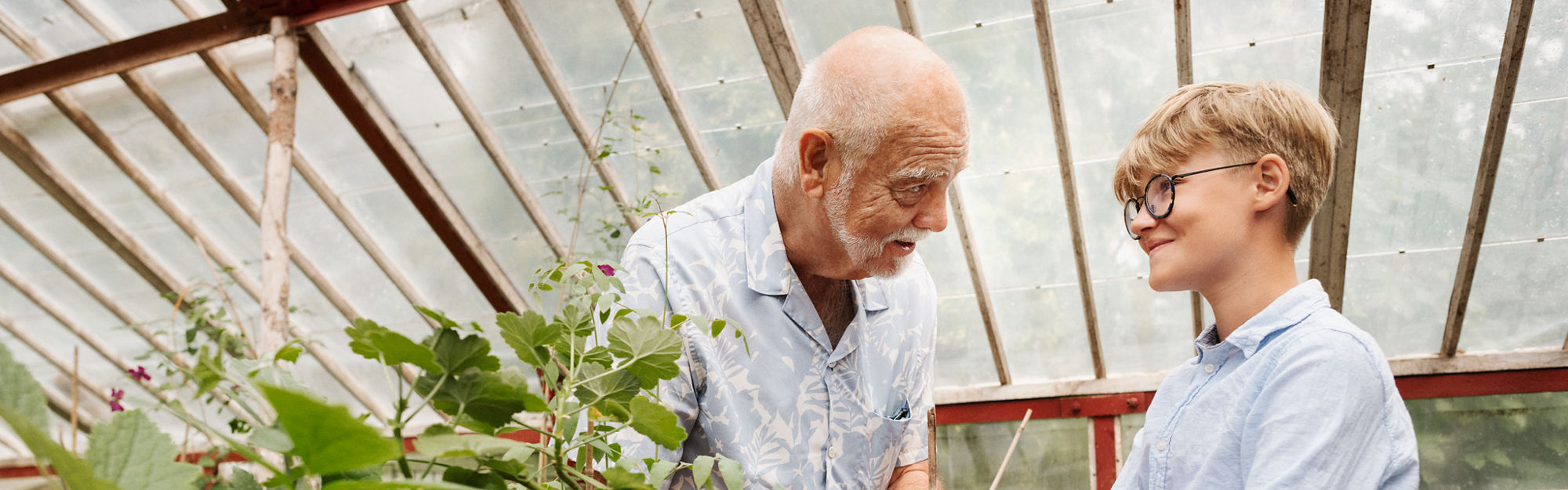 Senior and child working in the greenhouse