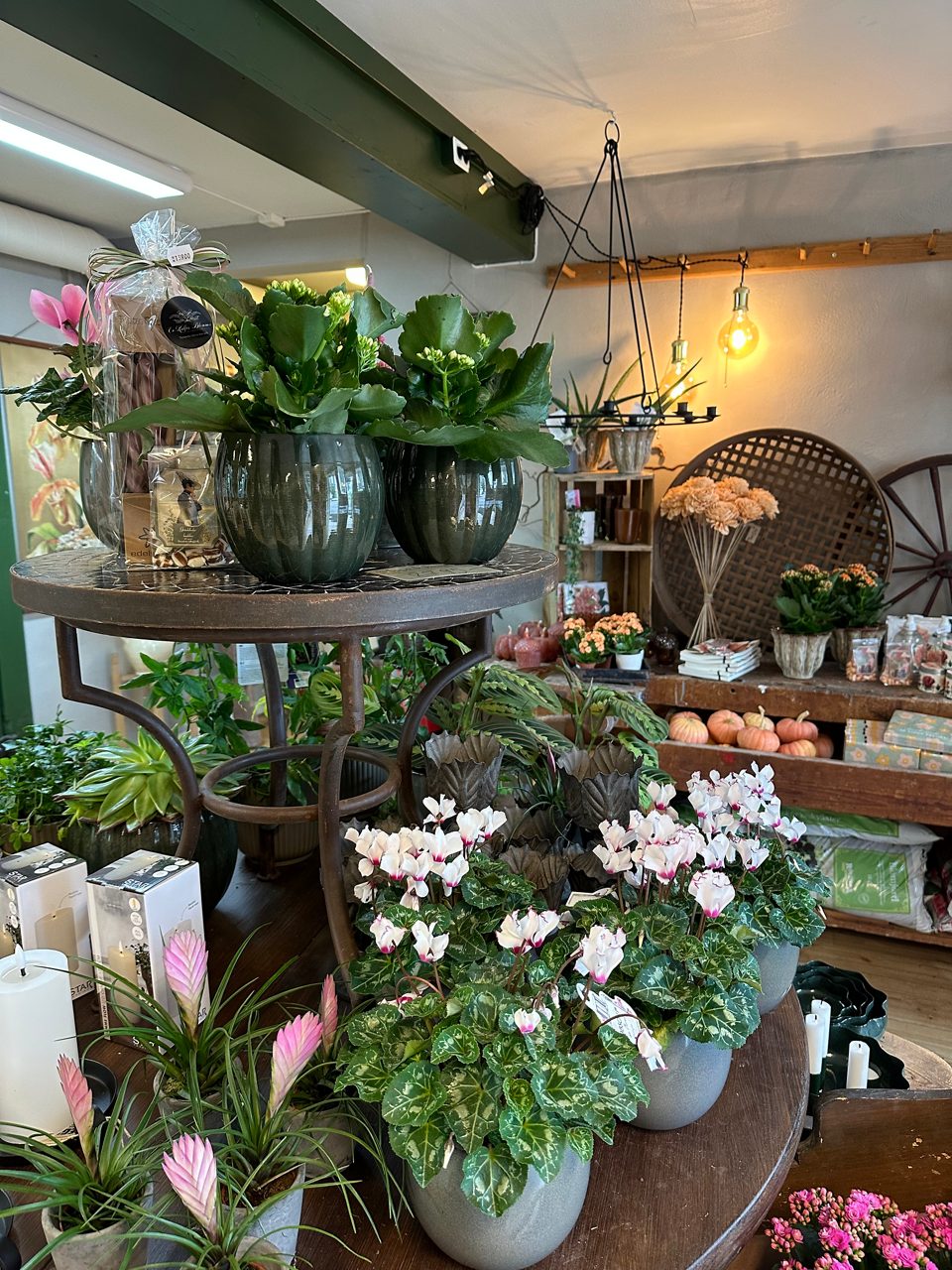 I butiken En kullas blommor, som drivs av Hanna Berglund i Djurås.