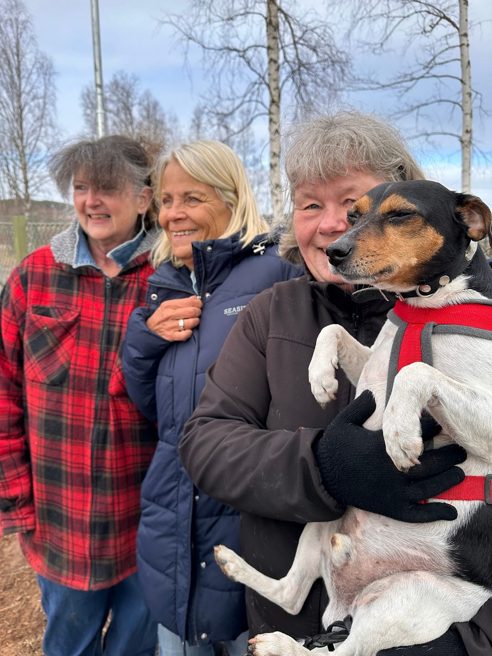Hundar och människor under invigningen av Leksands hundpark vid Norsbro.