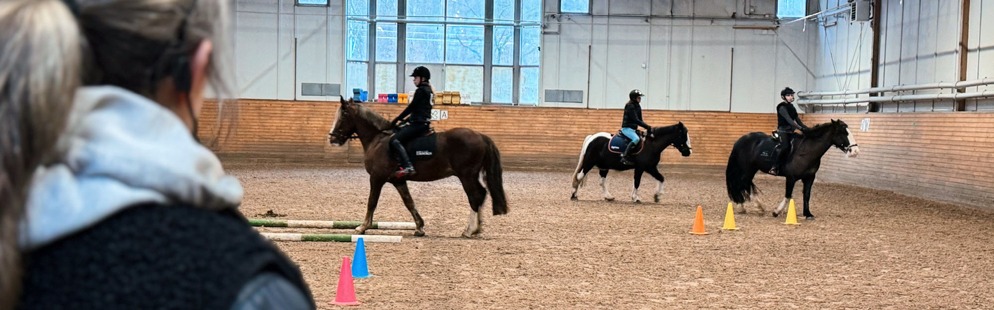 Hästar och ryttare i manegen på Borås Fältrittklubb