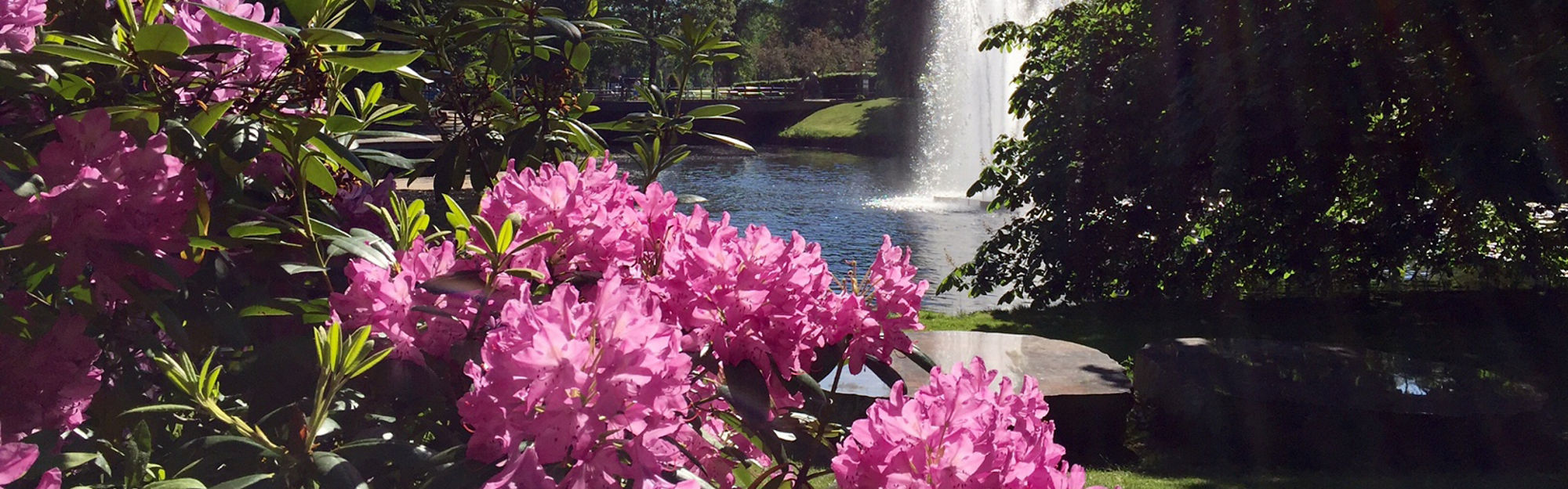 Stadsparken i Borås