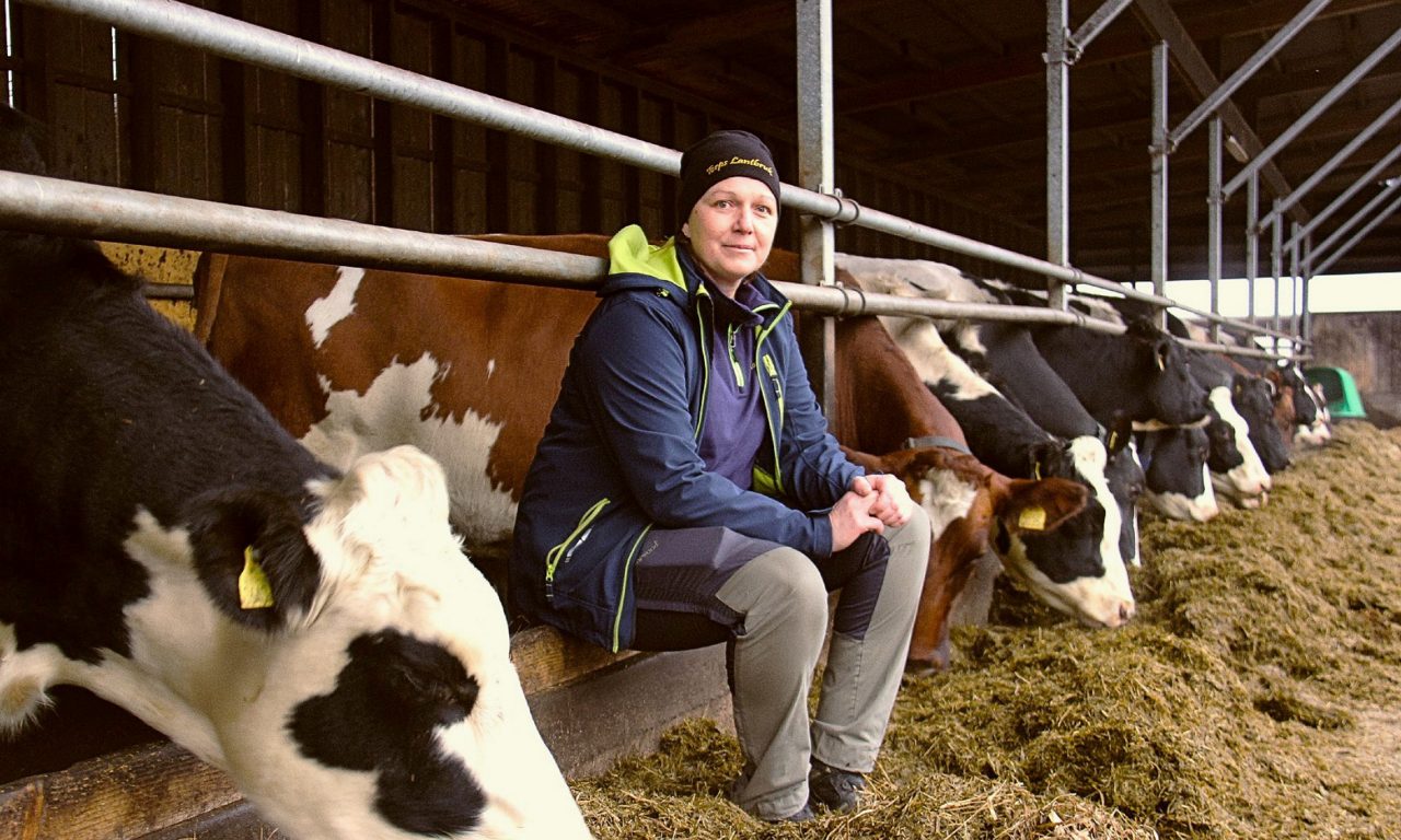 Elin Johansson i ladugården på Torps Lantbruk