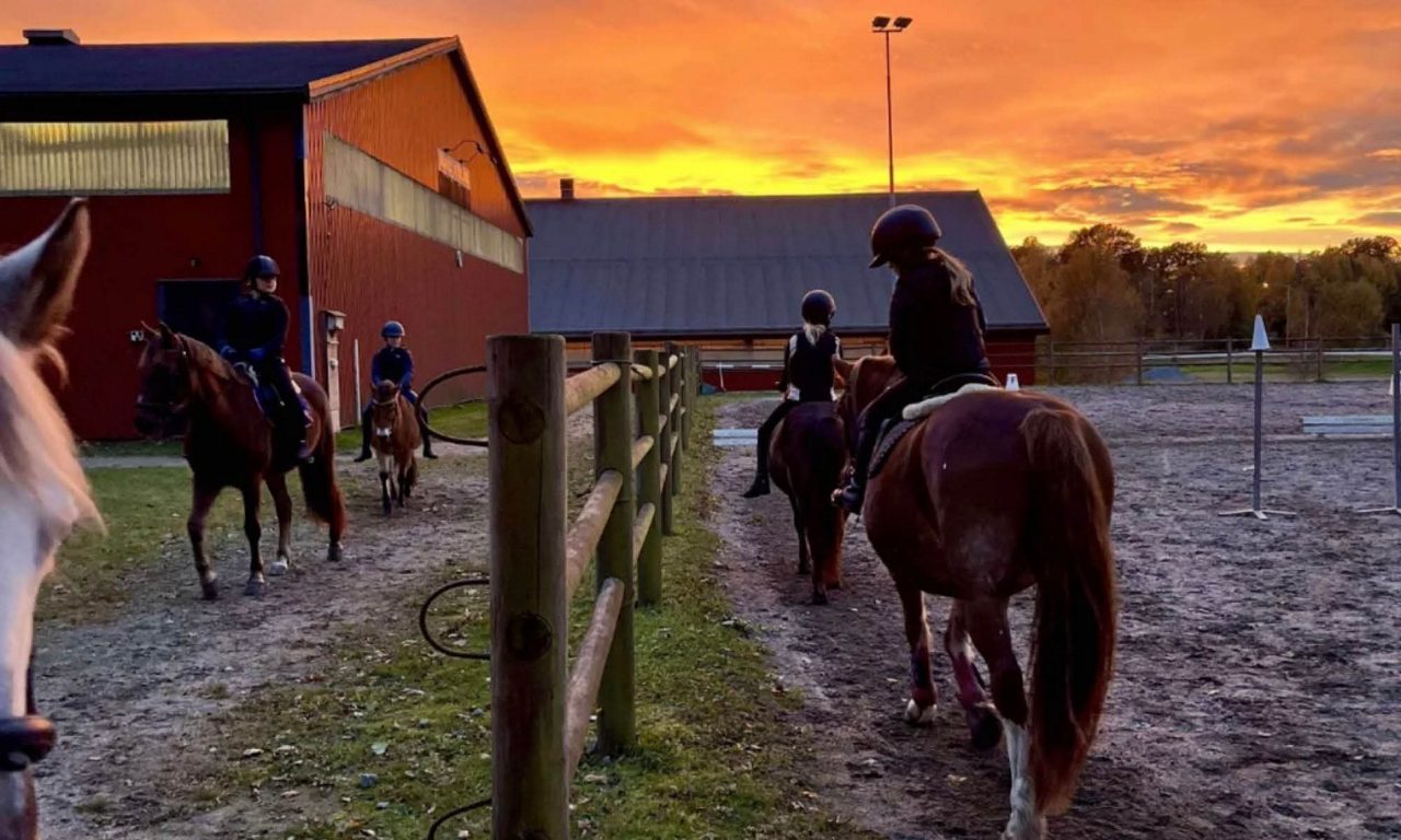 Marks Ridklubb får stöd från stiftelsen