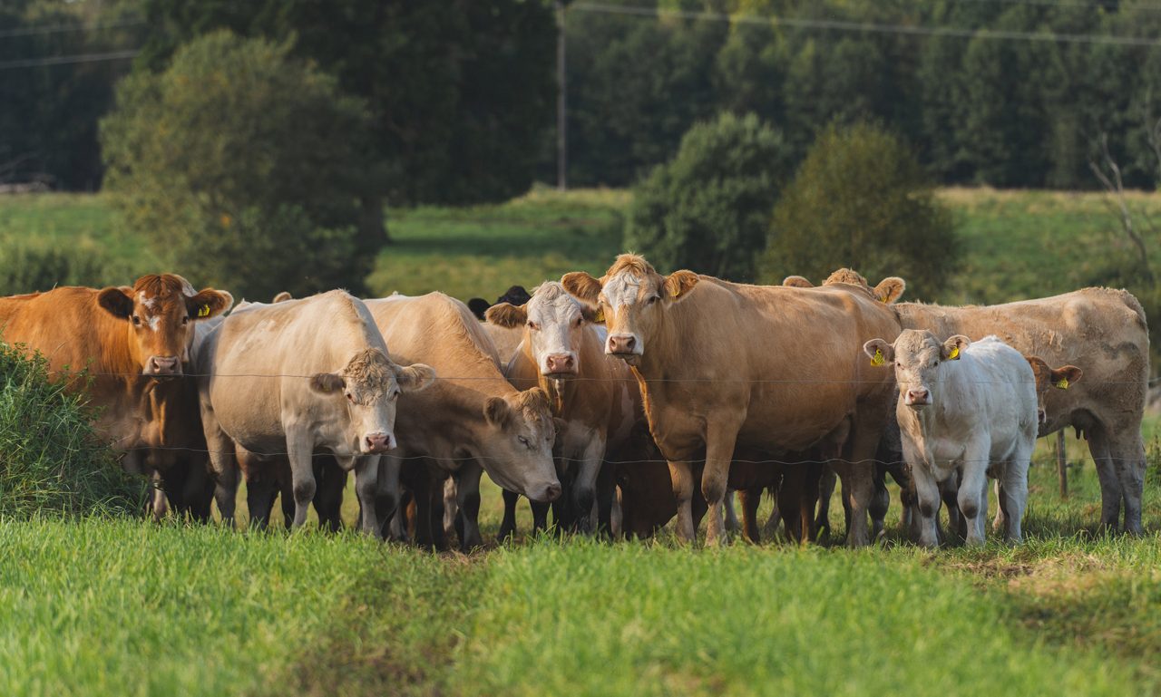 Hushållningssällskapet - Rådde Gård