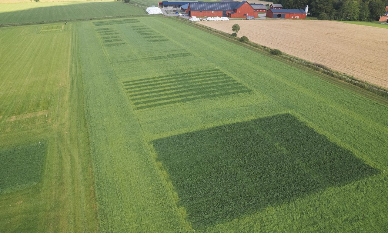 Hushållningssällskapet - Rådde Gård