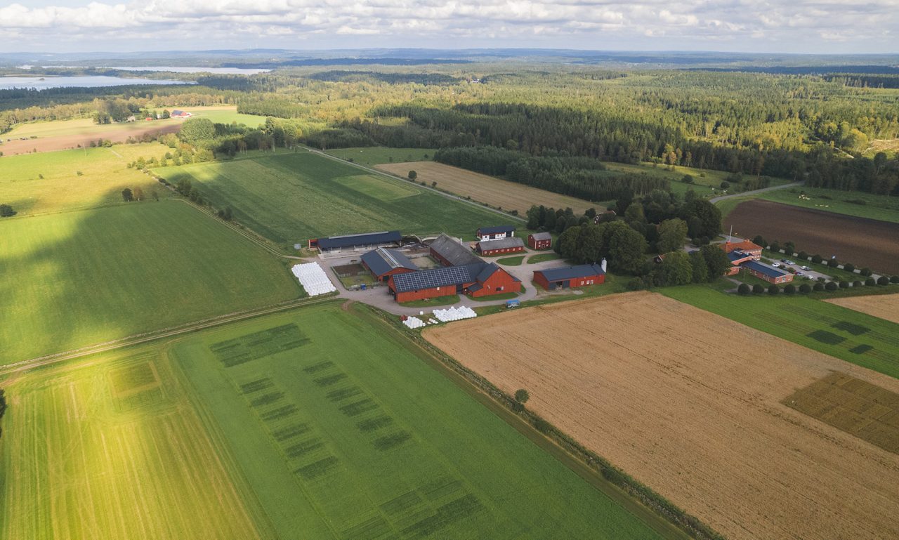 Drönarbild på Rådde gård