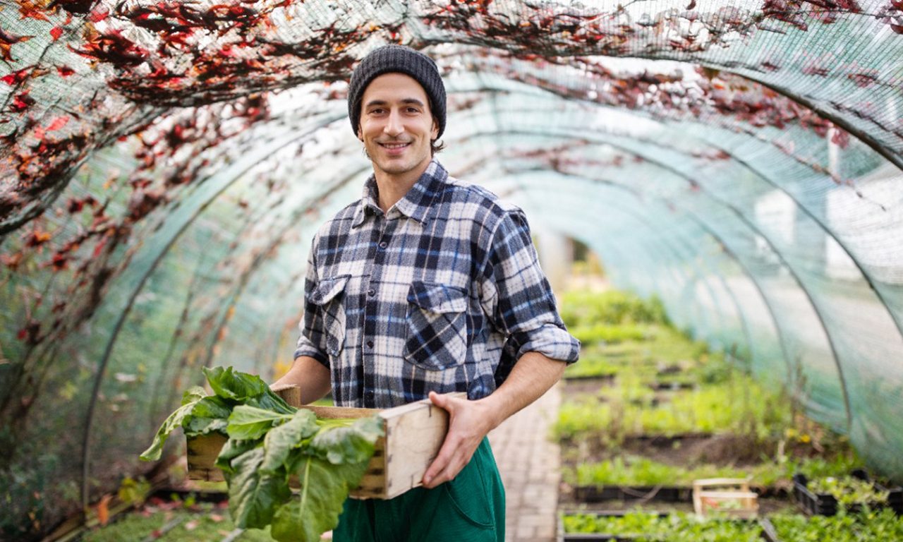Male garden worker in the greenhouse