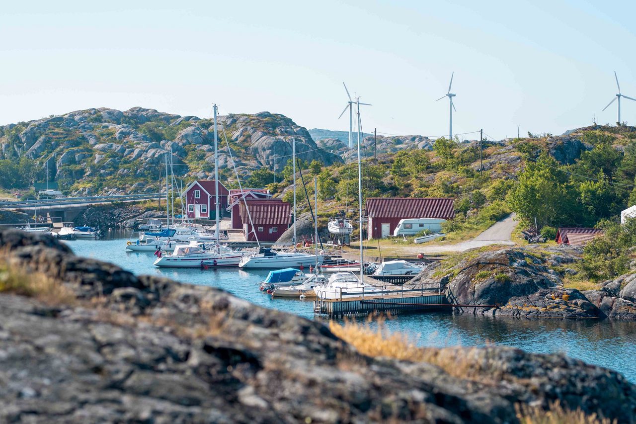 Natur på Tjörn