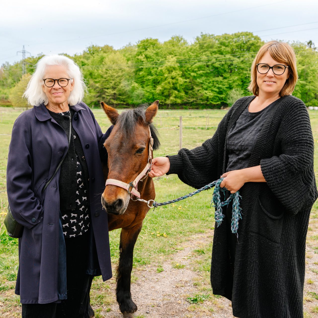Cecilia, Anna och Lady vid en hage på Bokeslätt