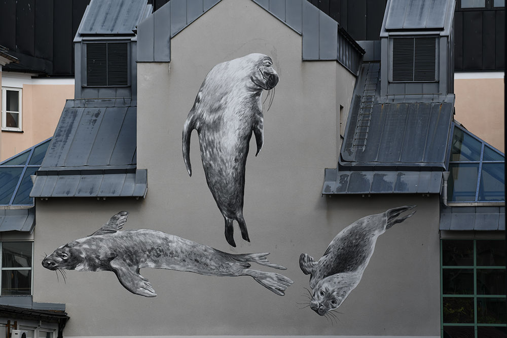 Målning av sälar, skapad under bank street art festival 2019